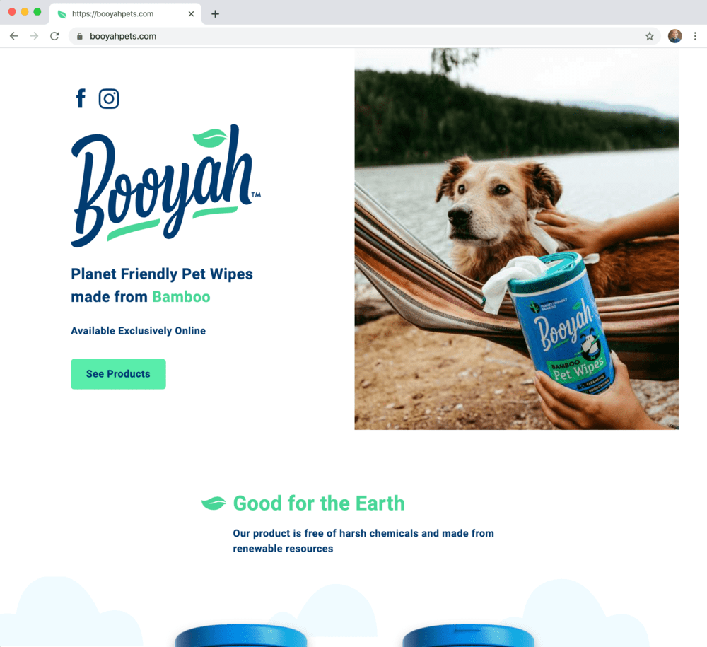 depiction of project called Booyah Pet Wipes